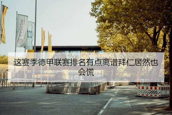 这赛季德甲联赛排名有点离谱拜仁居然也会慌