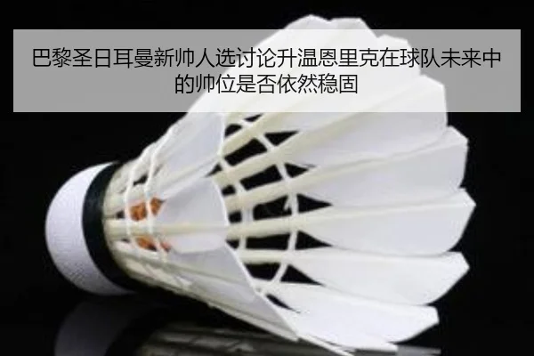 巴黎圣日耳曼新帅人选讨论升温恩里克在球队未来中的帅位是否依然稳固