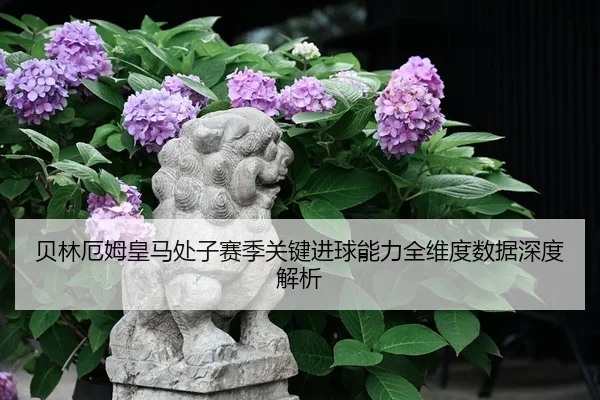 贝林厄姆皇马处子赛季关键进球能力全维度数据深度解析 - kaiyun