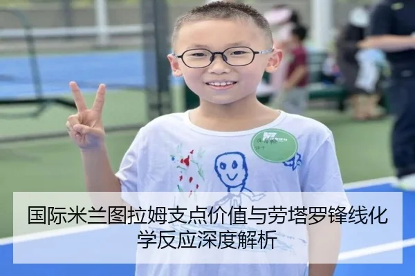 国际米兰图拉姆支点价值与劳塔罗锋线化学反应深度解析 - kaiyun